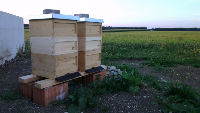 Beuten mit zweiter Zarge