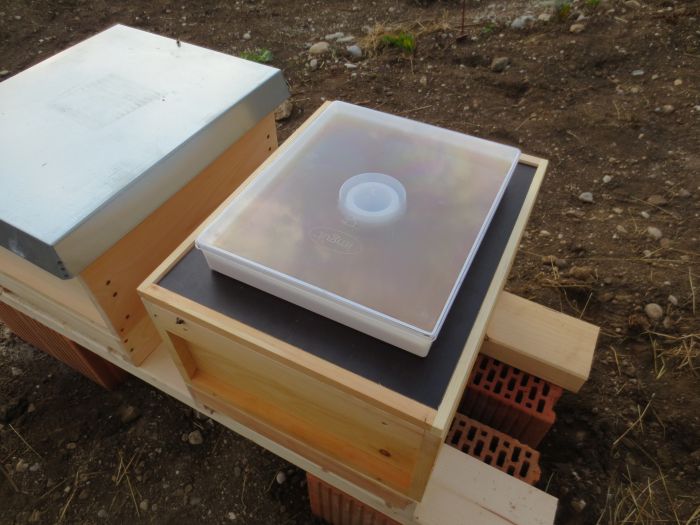 Beute mit Futtertrog