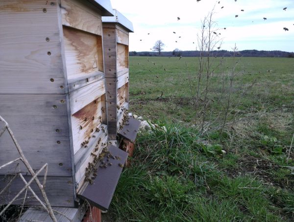 Flugbetrieb im März