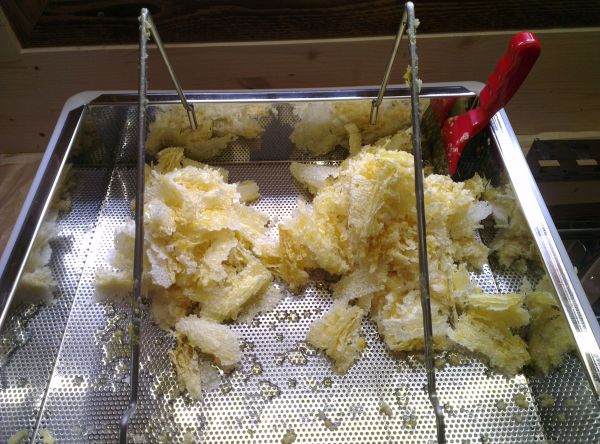 Deckelwachs im Entdecklungsgeschirr